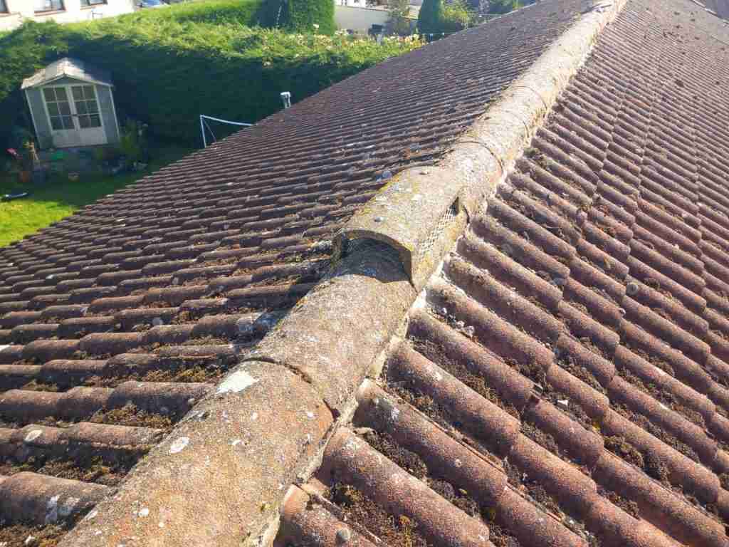 Tiled Roof