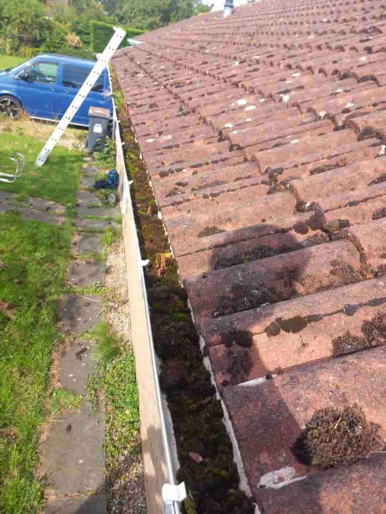 Local Roofer