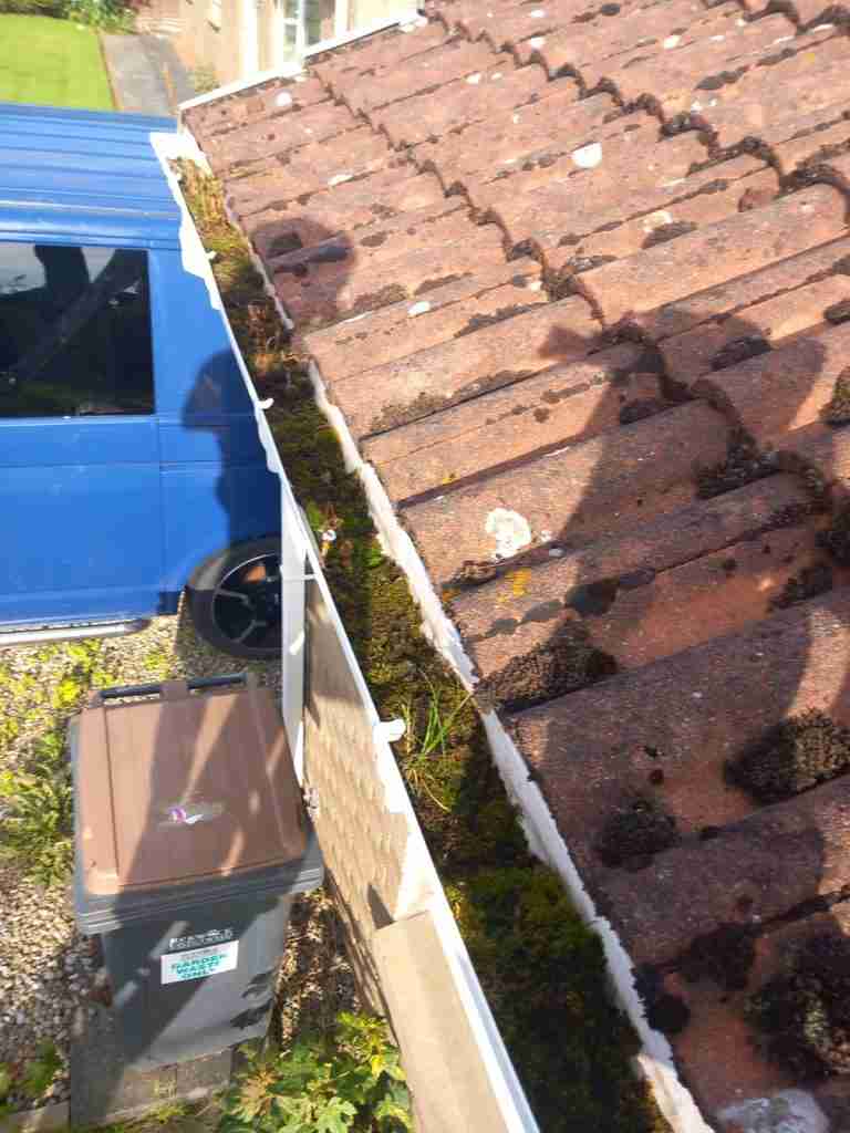 Emergency Roof Repairs