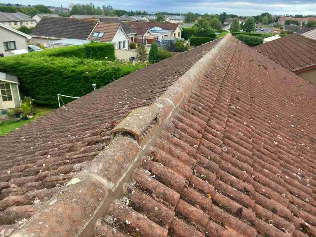 Replace damaged roof