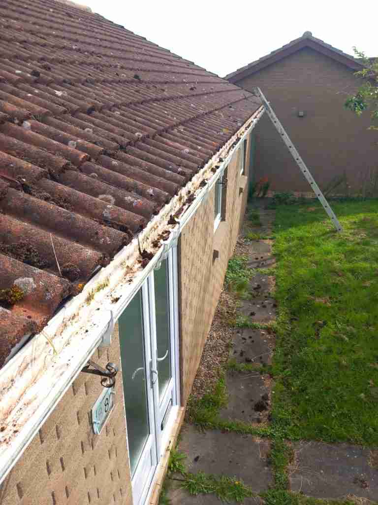 Replace guttering