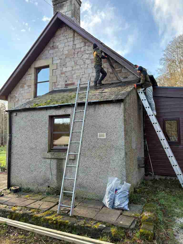 Replace roof