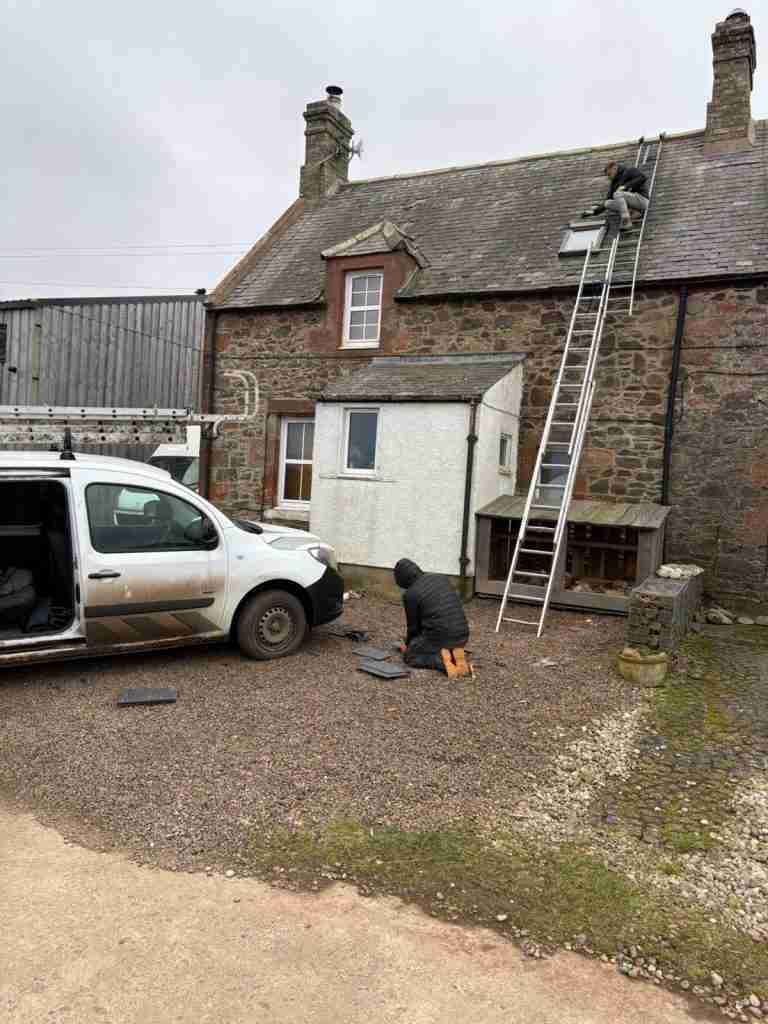 Roof Repairs